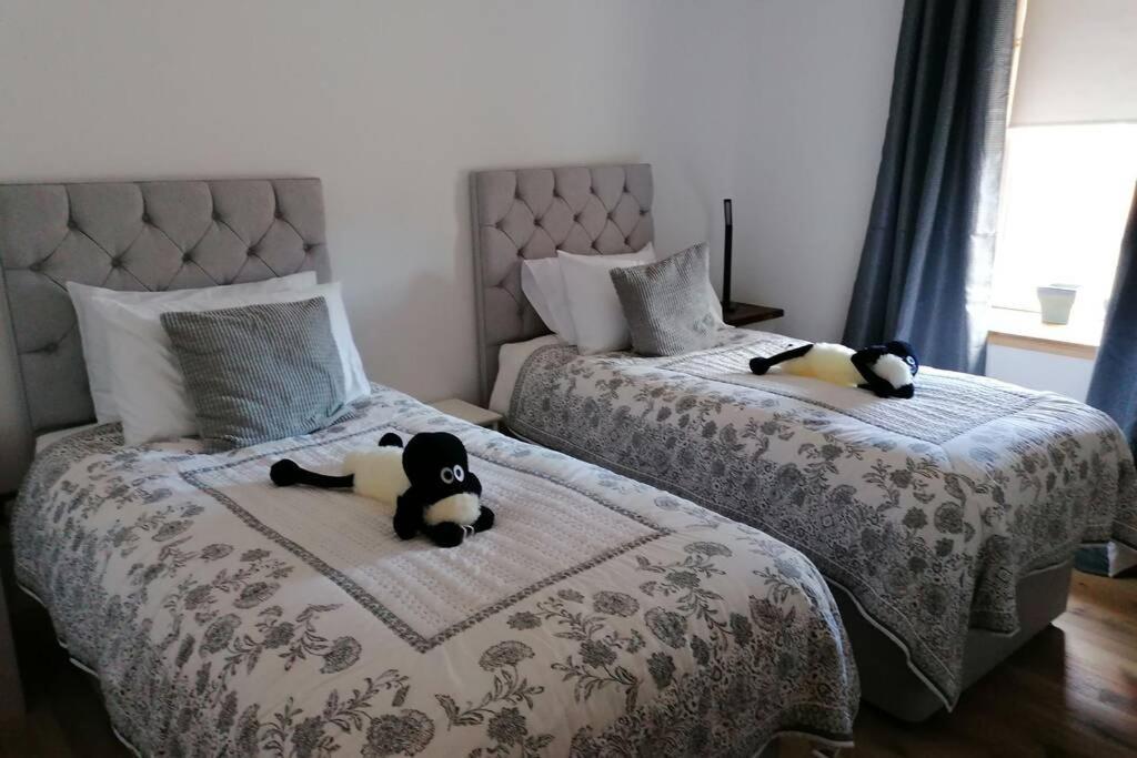 The Apartment In อาเบอร์ลัวร์ ภายนอก รูปภาพ